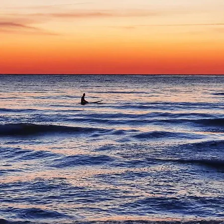 Surf