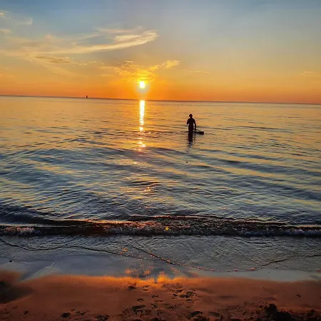 Surf