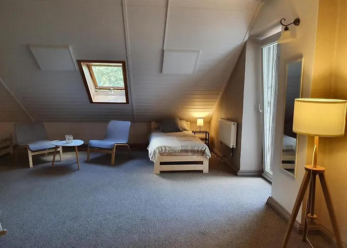 Surf Svečių namai *